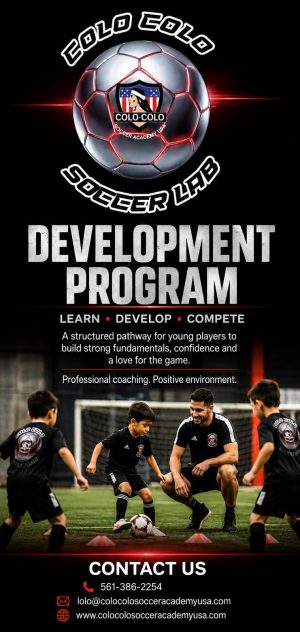 Developmtal Program